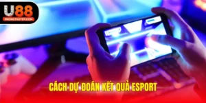 Bật Mí Cách Dự Đoán Kết Quả Esport Chính Xác Cho Tân Thủ