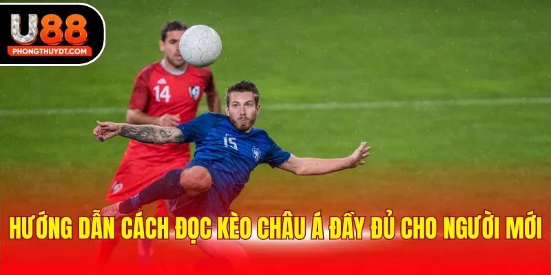 Hướng dẫn cách đọc kèo châu Á đầy đủ cho người mới 