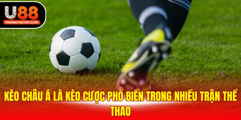 Kèo châu Á là kèo cược phổ biến trong nhiều trận thể thao 